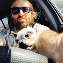 Panda and a Play (453084)