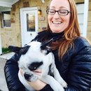 Panda and a Play (453250)