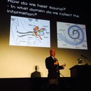 Dawn's Final Dinoysium (453183)