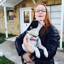 Panda and a Play (453220)