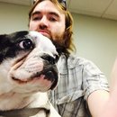 Panda and a Play (453096)