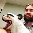 Panda and a Play (453362)