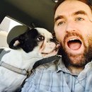 Panda and a Play (453330)