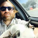 Little Panda at the Office (456993)