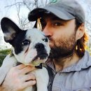 Panda and a Play (453353)