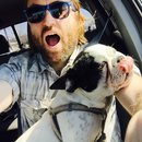 Little Panda at the Office (456942)