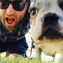 Afternoon with Panda (453296)