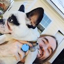 Panda and a Play (453286)