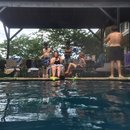 Katie's Birthday Pool Party (457061)