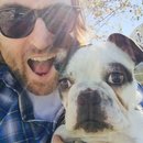 Backyard with Panda (457205)