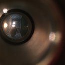 Devin Dates (457103)