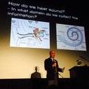 Dawn's Final Dinoysium (457229)