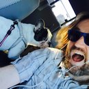 Little Panda at the Office (457254)