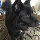 2016 Random iPhone Photos (457220)