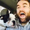 Little Panda at the Office (457214)