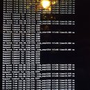 2016 Random iPhone Photos (457257)