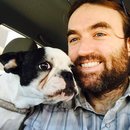 Little Panda at the Office (457157)