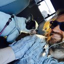 Little Panda at the Office (457458)