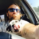 Little Panda at the Office (457330)