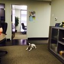 Little Panda at the Office (457476)