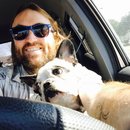 Little Panda at the Office (457358)