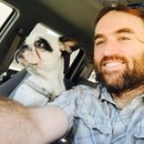 Little Panda at the Office (457357)