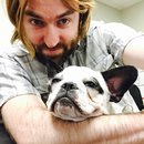 Little Panda at the Office (457313)