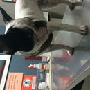 Babysitting Panda (457482)