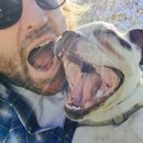 Backyard with Panda (457322)