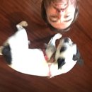 Babysitting Panda (457760)