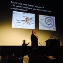 Dawn's Final Dinoysium (457536)