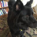 2016 Random iPhone Photos (457700)