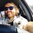 Little Panda at the Office (457650)