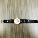 Fake Watch Analysis (457629)