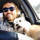 Little Panda at the Office (457621)