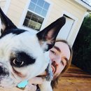 Backyard with Panda (457900)