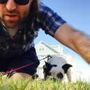 Backyard with Panda (457938)