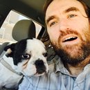 Little Panda at the Office (457877)