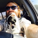 Little Panda at the Office (457961)