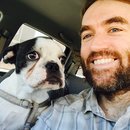 Little Panda at the Office (457781)