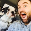 Little Panda at the Office (457925)