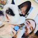 Backyard with Panda (458103)