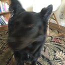 2016 Random iPhone Photos (458115)