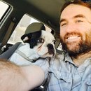 Little Panda at the Office (458123)