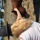 Roadtrip to Marfa (467384)