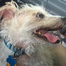 4th of July at Emma Long (467413)