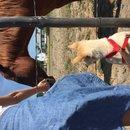 Roadtrip to Marfa (467245)