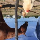 Roadtrip to Marfa (467264)