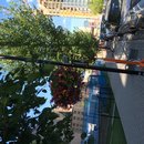 Calgary and The Tragically Hip (467438)