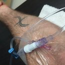 2016 Random iPhone Photos (467560)